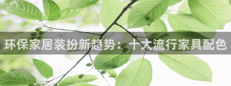 杏耀平台代理怎么赚钱的
