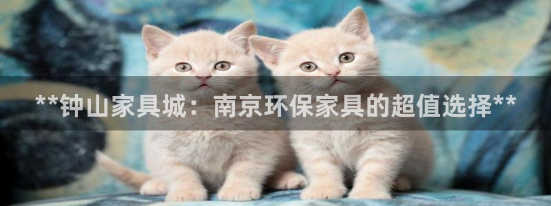 杏耀代理日工资多少