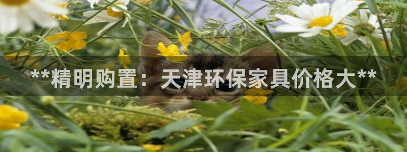 杏耀平台服务中心电话号码