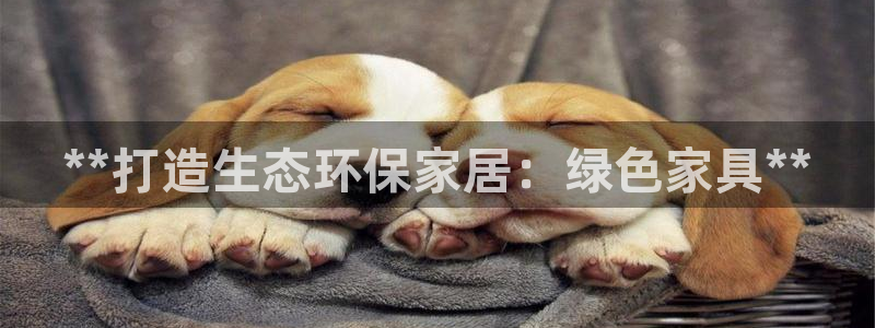 杏耀主管qq
