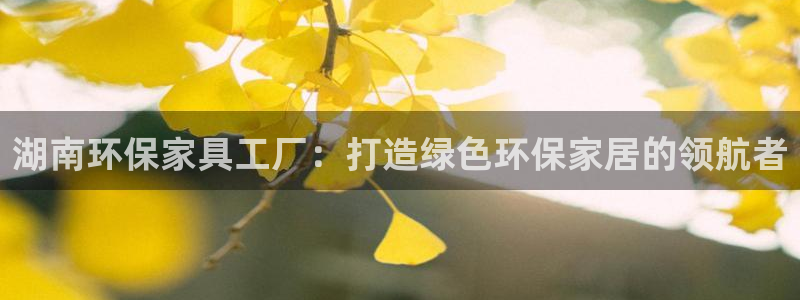 杏耀登陆