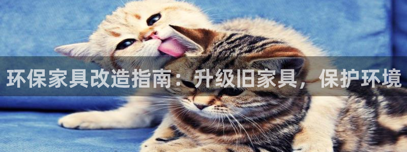 杏耀平台测