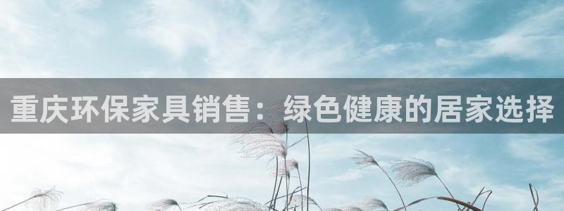 杏耀代理主管qq
