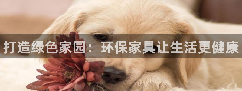 杏耀官方