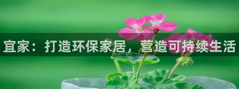 杏耀平台没有了