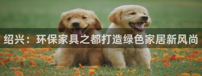 杏耀平台怎么样