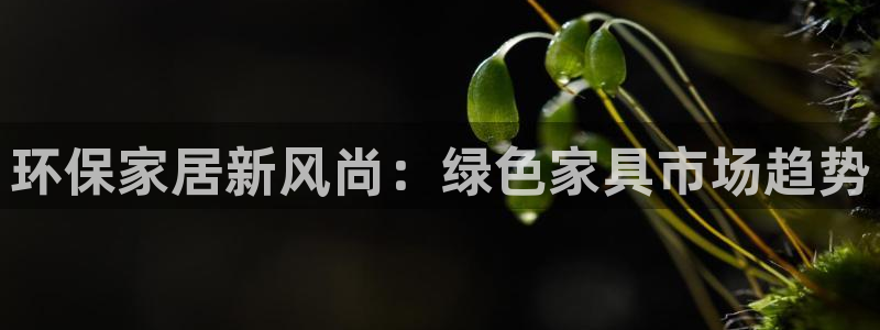 杏耀登陆
