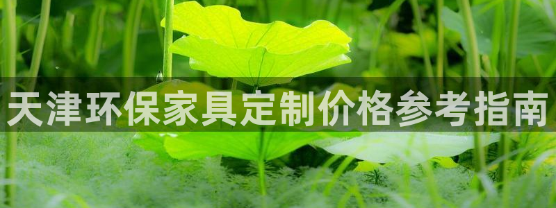 杏耀软件