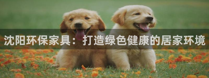 杏耀平台测速登陆
