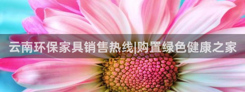 杏耀官网游戏