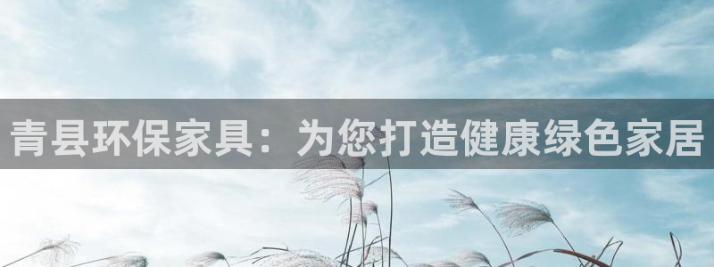 杏耀代理日工资多少