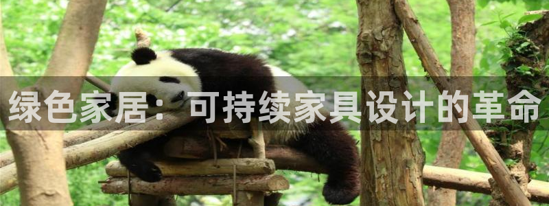 杏耀平台怎么样
