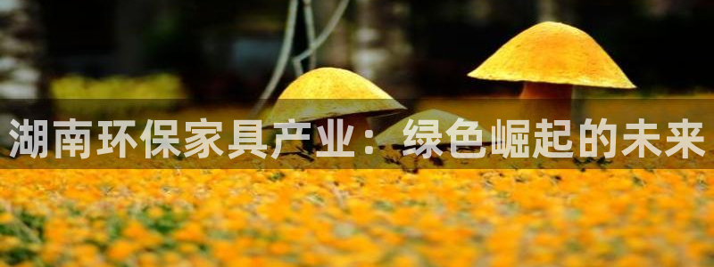 杏耀平台主管