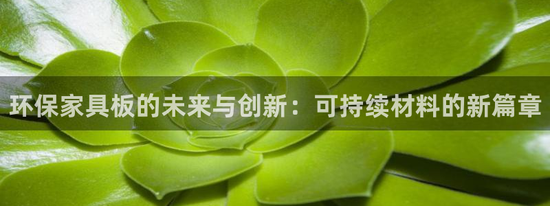 杏耀平台网站是什么