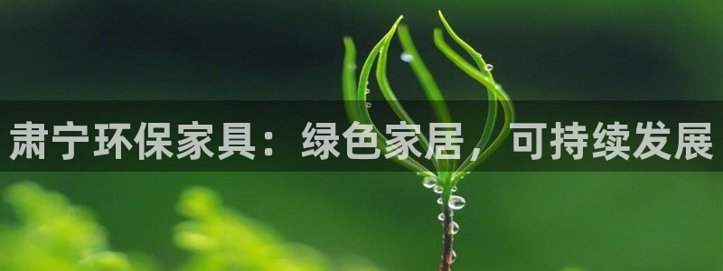 杏耀平台代理怎么赚钱的