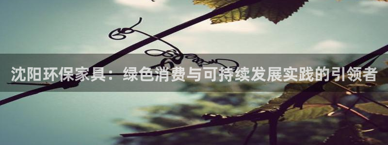杏耀主管qq