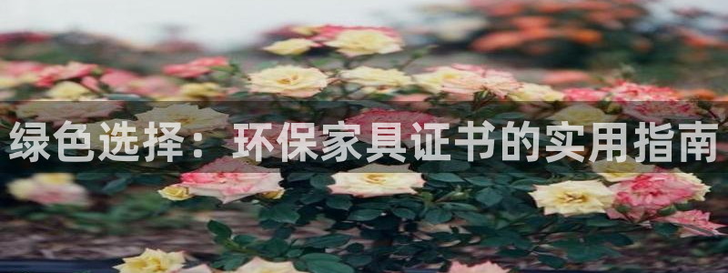 杏耀注册杏耀登陆：绿色选择：环保家具证书的实用指南