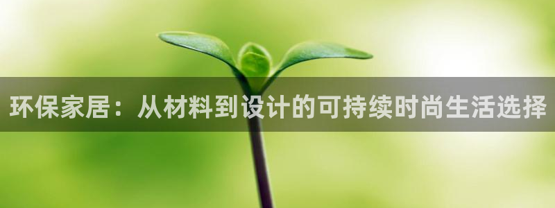 杏耀主管qq