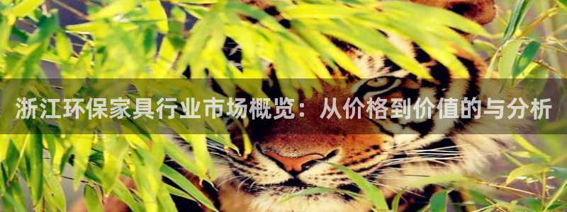 杏耀平台娱乐登陆：浙江环保家具行业市场概览：从价格到价值的与