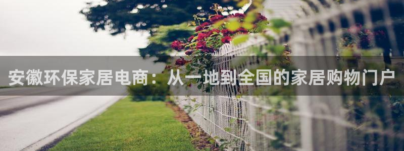 杏耀手机网页登录入口：安徽环保家居电商：从一地到全国的家居购