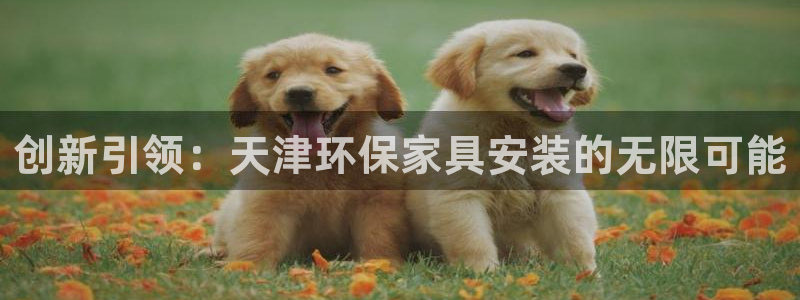 杏耀平台注册代理：创新引领：天津环保家具安装的无限可能