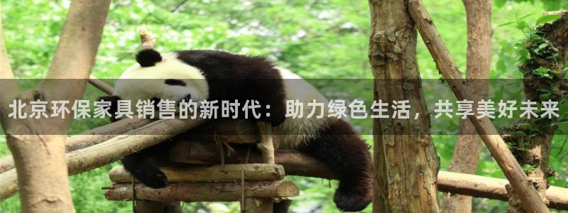 杏耀手机网页登录入口：北京环保家具销售的新时代：助力绿色生活