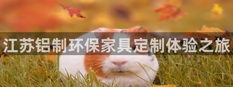 杏耀是什么平台