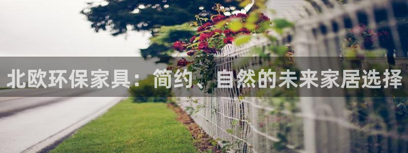 杏耀平台注册流程：北欧环保家具：简约、自然的未来家居选择