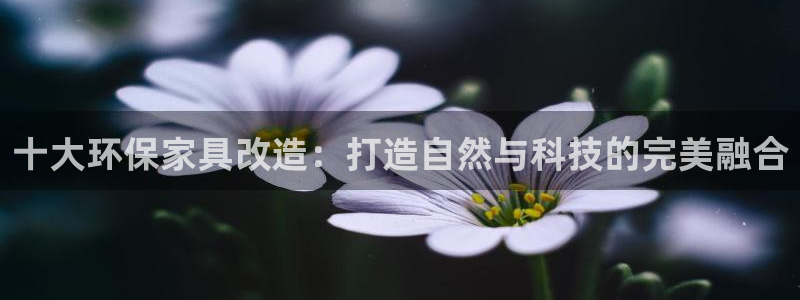 杏耀官网客服：十大环保家具改造：打造自然与科技的完美融合
