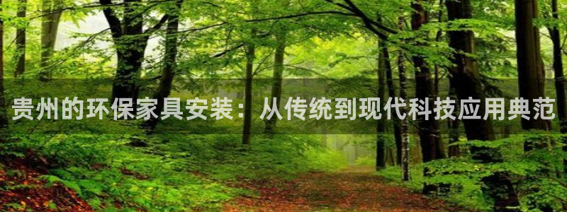 杏耀测速网址电脑版：贵州的环保家具安装：从传统到现代科技应用
