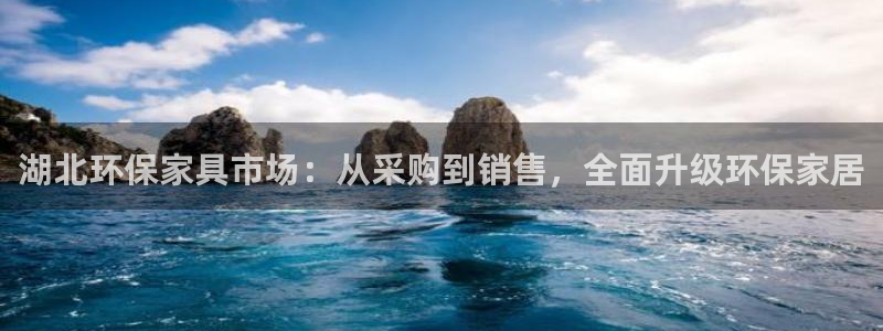杏耀代理日工资多少