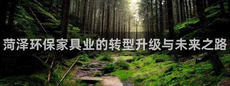 杏耀平台官方网站：菏泽环保家具业的转型升级与未来之路