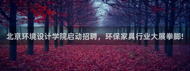 杏耀线路5检测：北京环境设计学院启动招聘，环保家具行业大展拳