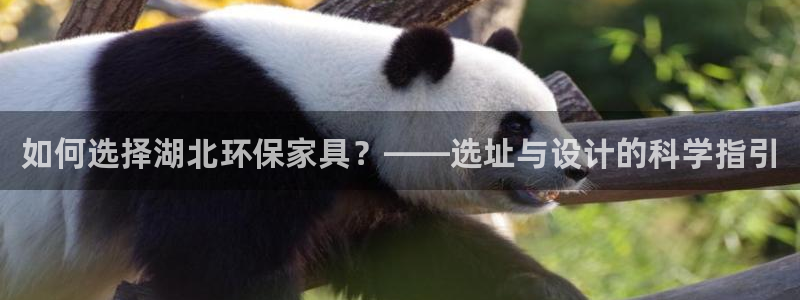 杏耀平台登录：如何选择湖北环保家具？——选址与设计的科学指引