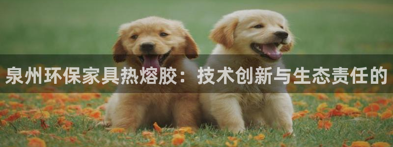 杏耀官网网站中心