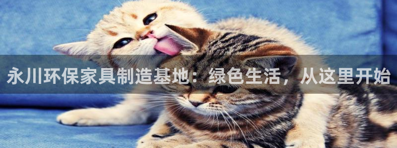 杏耀平台招商的流程：永川环保家具制造基地：绿色生活，从这里开