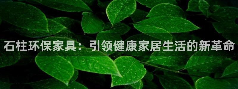 杏耀代理注册中心：石柱环保家具：引领健康家居生活的新革命