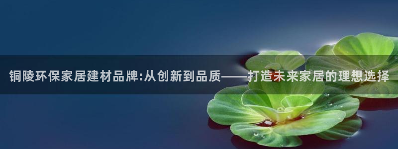 杏耀平台在哪里：铜陵环保家居建材品牌:从创新到品质——打造未