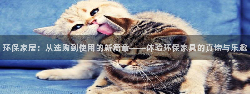 杏耀平台分红：环保家居：从选购到使用的新篇章——体验环保家具