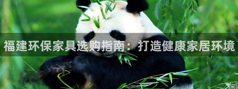 杏耀登陆网站：福建环保家具选购指南：打造健康家居环境