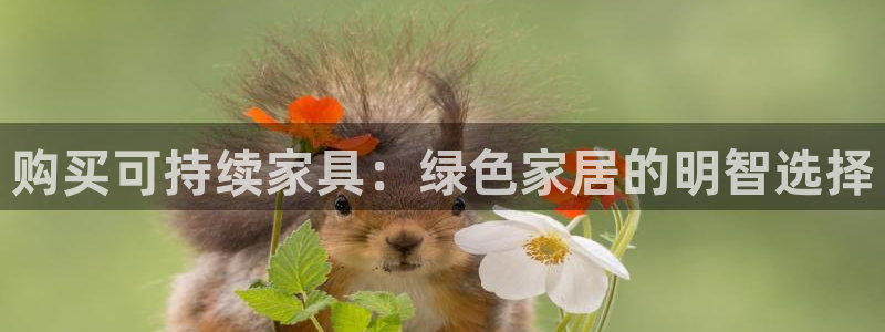 杏耀注册登录官网：购买可持续家具：绿色家居的明智选择